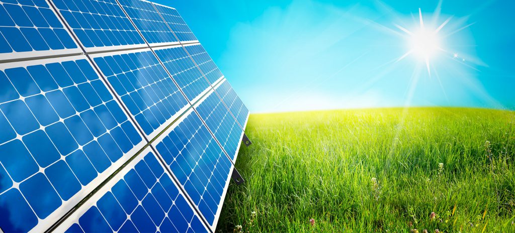 Proje Geliştirme- İhale ve Teknik Şartname Danışmanlığı